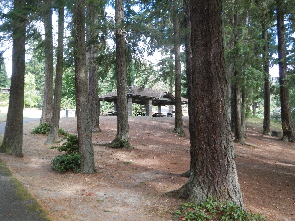 covered area near Bothell