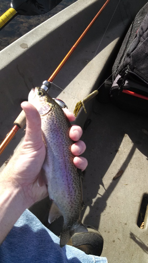 tube rainbow near Erlands Point-Kitsap Lake