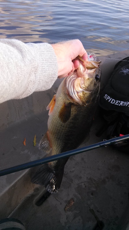 Biggest yet near Port Orchard