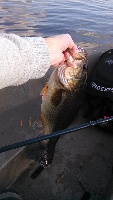 First yak trip to long lake Fishing Report