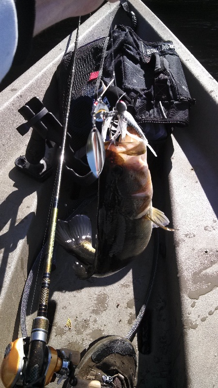 fish #1 near Algona