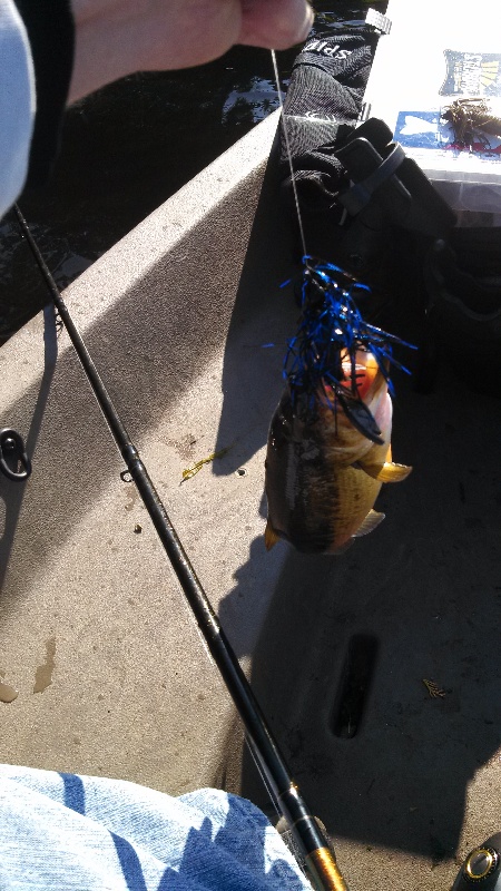 bass #2 near Fircrest