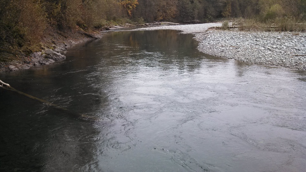 Blyn fishing photo 2