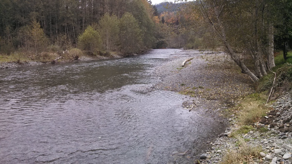 Blyn fishing photo 1
