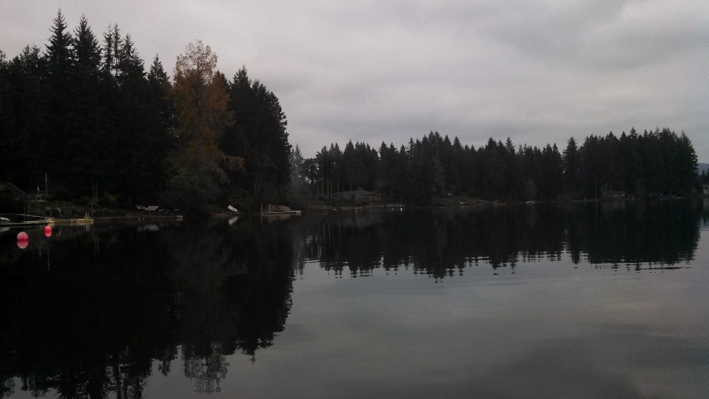 Elma fishing photo 1