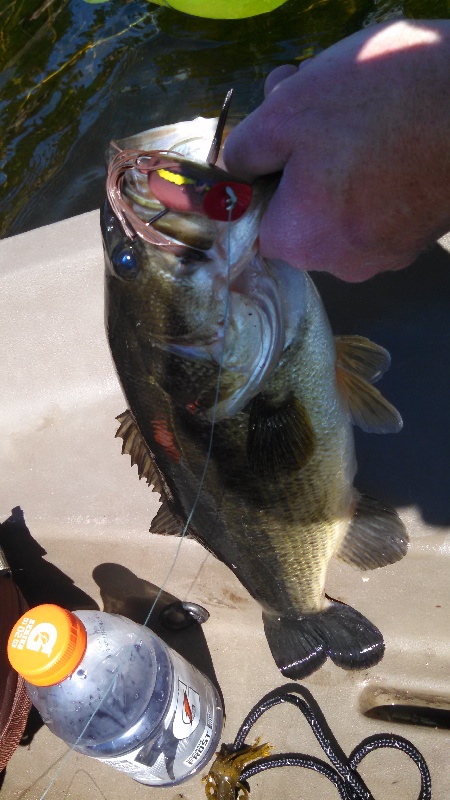 one ounce shy near Yarrow Point