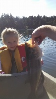 Horseshoe lake by chance Fishing Report