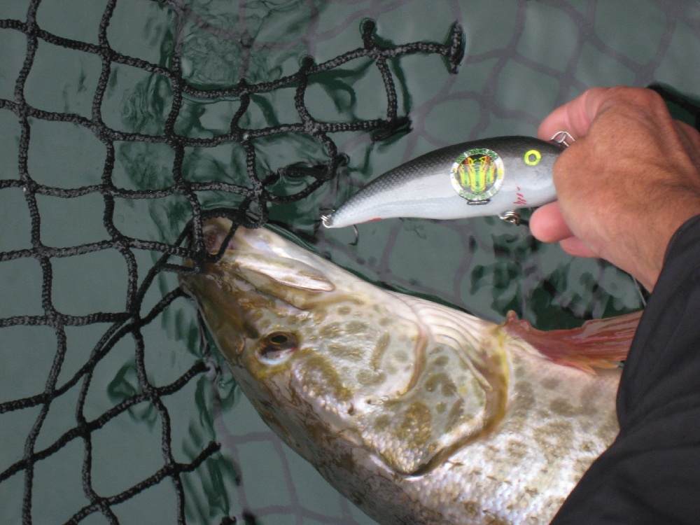 Yacolt fishing photo 1