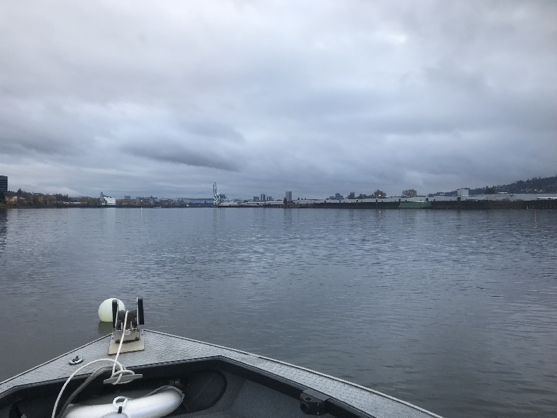View of Portland near Orchards